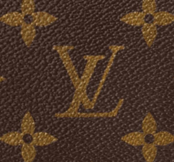 Louis Vuitton Monogram Canvas M44478 SOFT TRUNK